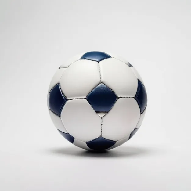 天博体育中心官网 品牌形象